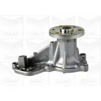 Graf PA1092 Waterpomp