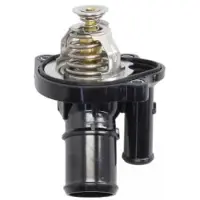 THERMOTEC Thermostaat, koelvloeistof D2G014TT