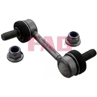 Fag Stabilisatorstang 818 0698 10