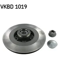 Skf Remschijf VKBD 1019 achter, volledig, 1 Stuk