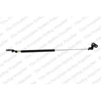 LESJÖFORS 8162002 Gasveer achterklep