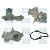 Saleri SIL PA802 Waterpomp