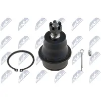 NTY Fuseekogel ZSD-CH-021