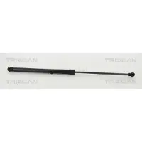 TRISCAN Gasveer, bagageruimte 8710 14256