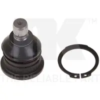 NK 5043507 Fuseekogel
