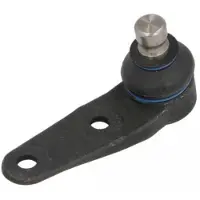 REINHOCH Fuseekogel RH03-0003