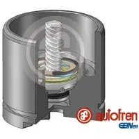 AUTOFREN SEINSA D025256LK Zuiger, remklauw