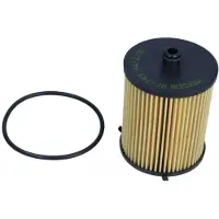 MAXGEAR Brandstoffilter 26-2173
