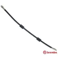 Brembo T 06 013 Remslang
