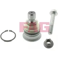 Fag 825 0342 10 Fuseekogel