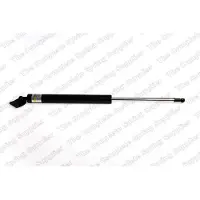 LESJÖFORS 8159225 Gasveer achterklep