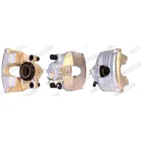 FERODO FCL694564 Remklauw