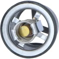 NRF Thermostaat, koelvloeistof 725020