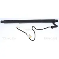 TRISCAN 8710 11302 Gasveer achterklep