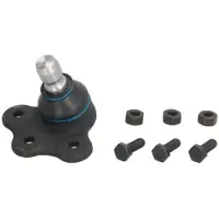 REINHOCH Fuseekogel RH03-5008