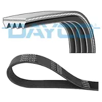DAYCO 4PK850 Multiriem