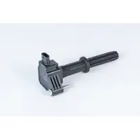 Borg Warner Bobine (BERU) ZSE 234
