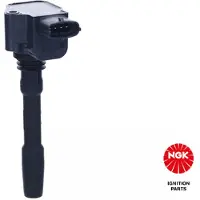 Ngk 49519 Bobine