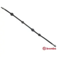 Brembo T 23 037 Remslang