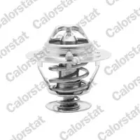 CALORSTAT by Vernet Thermostaat, koelvloeistof TH6294.82J