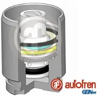 AUTOFREN SEINSA Zuiger, remklauw D025545K