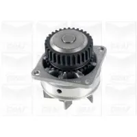 Graf PA1287 Waterpomp