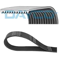 DAYCO 12PK1923HD Multiriem