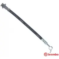 Brembo T 56 163 Remslang