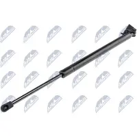 NTY AE-CH-021 Gasveer achterklep