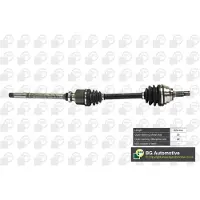 BGA DS1408R Aandrijfas