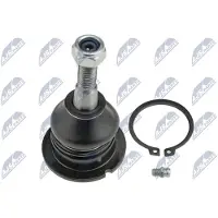 NTY Fuseekogel ZSG-LR-001