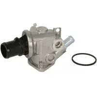 THERMOTEC Thermostaat, koelvloeistof D2D004TT