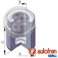 AUTOFREN SEINSA Zuiger, remklauw D025609, achter