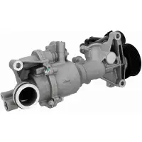 VAICO V30-50113 Waterpomp