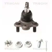 TRISCAN 8500 40536 Fuseekogel