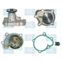 Saleri SIL PA890 Waterpomp