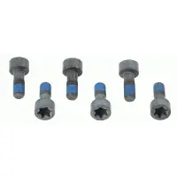 SACHS Schroevenset vliegwiel 1874 000 041