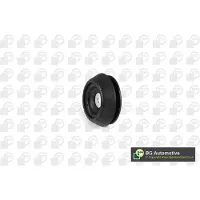 BGA Reparatieset, Ring voor schokbreker veerpootlager SM95004