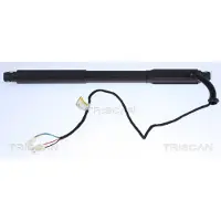 TRISCAN 8710 11304 Gasveer achterklep