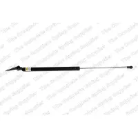 LESJÖFORS Gasveer, bagageruimte 8135710