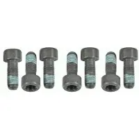 SACHS Schroevenset, vliegwiel 1874 000 054