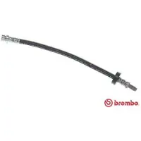 Brembo T 24 138 Remslang