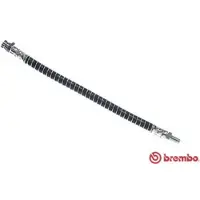 Brembo Remslang T 54 017
