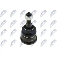 NTY Fuseekogel ZSD-CH-006