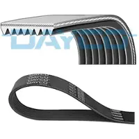 DAYCO Poly V-riem 8PK1070HD
