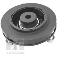 TEDGUM TED47590 Veerpootlager
