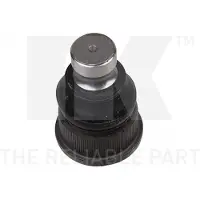 NK 5043940 Fuseekogel