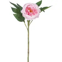 Easyplants | Kunstpioen Real Touch Roze 58cm | Zijde | Nepbloemen | roze | Onderhoudsvrij | Kant-en-klaar