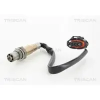 TRISCAN 8845 24000 Lambdasonde