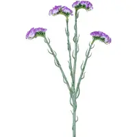 Easyplants | Kunsttak Statice 64 cm paars | Zijde | Nepbloemen | paars | Onderhoudsvrij | Kant-en-klaar